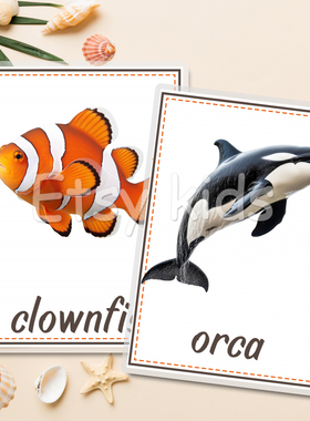 sea animals海洋动物幼儿童英语启蒙认知单词卡片30张