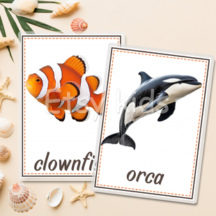 sea animals海洋动物幼儿童英语启蒙认知单词卡片30张