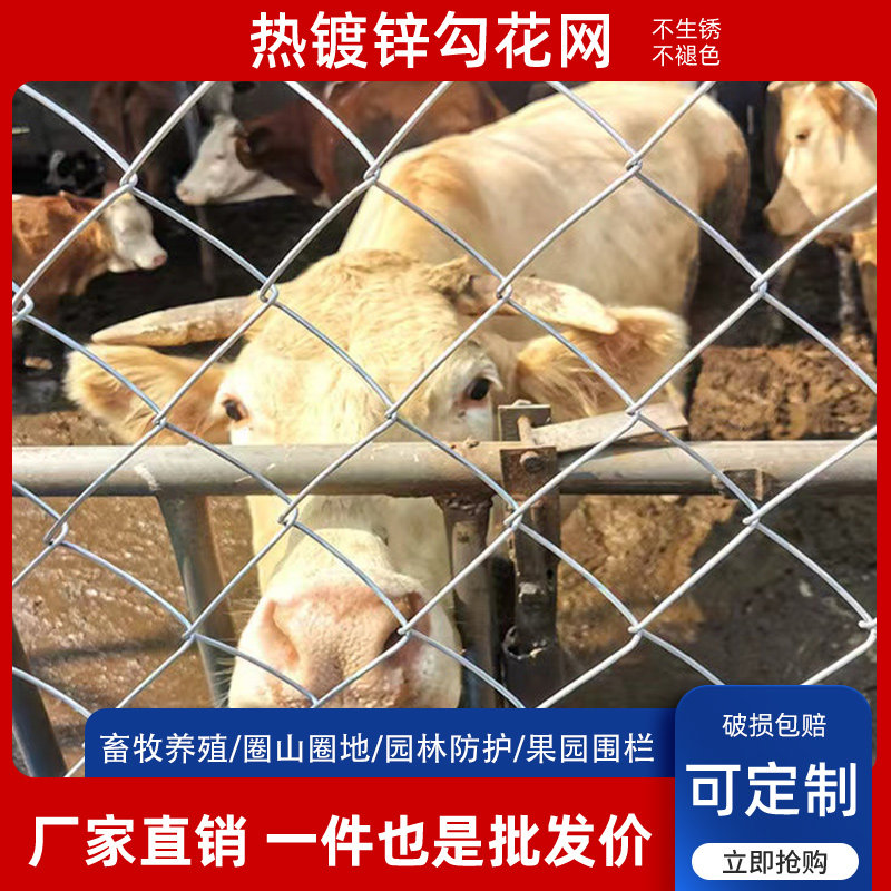 热镀锌铁丝网养殖防护网质保十年
