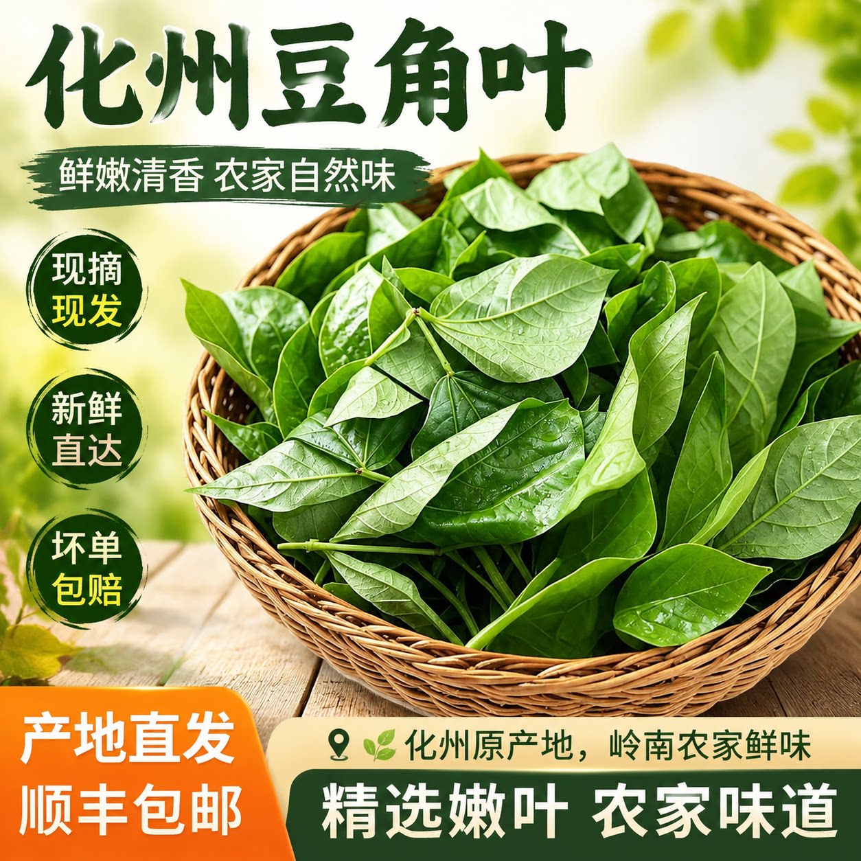广东茂名农家新鲜现摘现发豆叶豇角叶子豆角叶豆仔叶时令生蔬