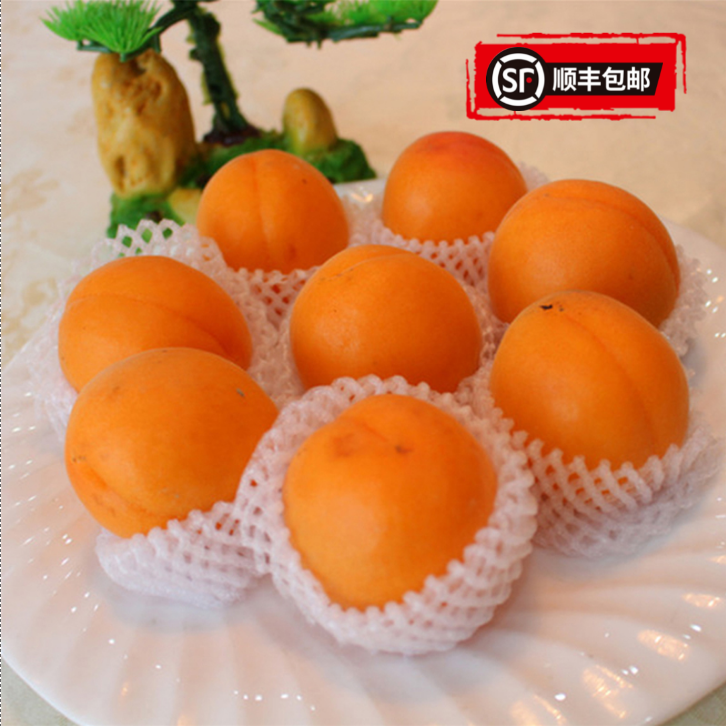 山东露天树熟杏子酸甜杏新鲜水果黄杏杏子现摘时令水果孕妇零食