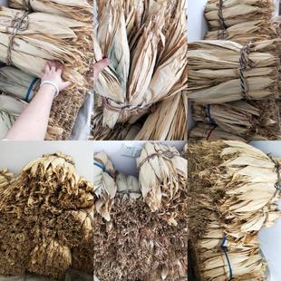 福建粽子叶日晒干粽叶新鲜粽叶大粽叶包粽子农家食用箬竹叶干白叶