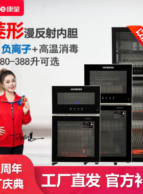 康星立式小消毒碗柜家用不锈钢烘干双门高温商用厨房以旧换新