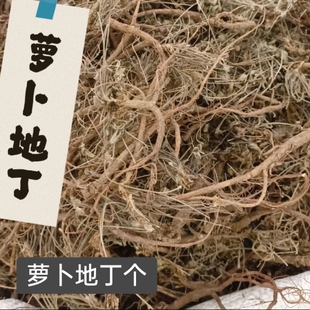 正宗萝卜地丁药材甜地丁 干货紫花地丁萝卜甜地丁根50克包邮纯根