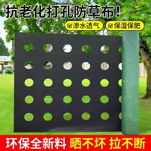 种植专用地膜防草布蔬菜药材打孔育苗花卉可降解渗水透气开孔薄膜