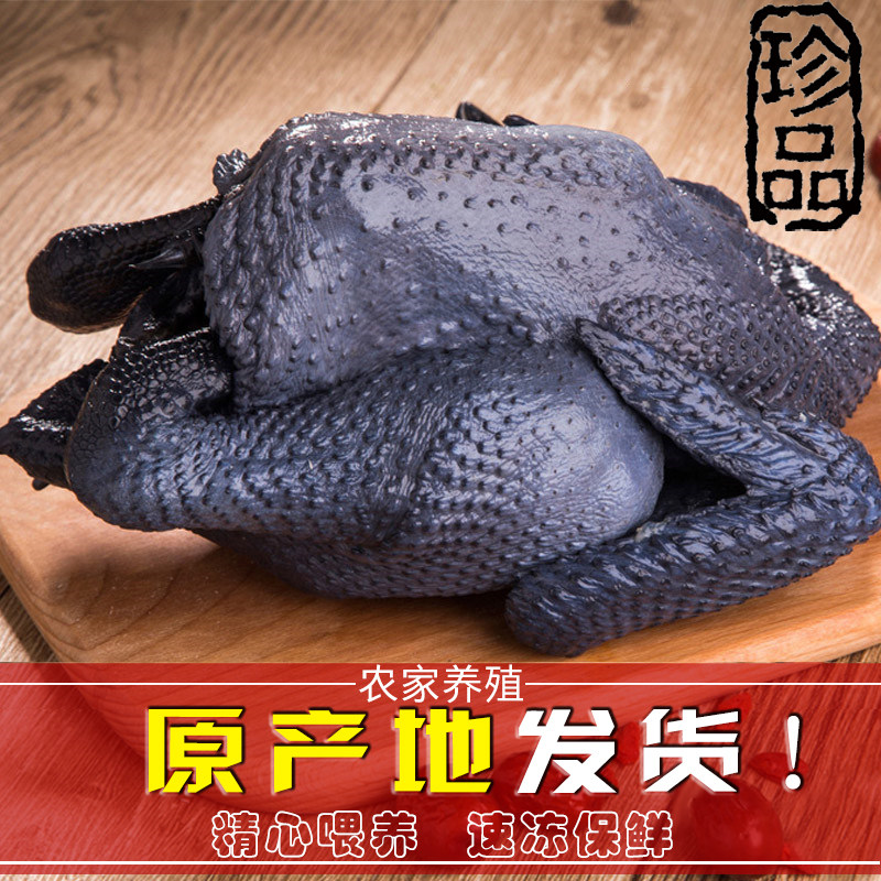农户散养乌鸡整只不带内脏