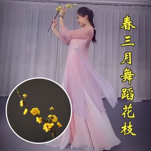 春三月舞蹈花枝腊梅仿真花梅花古典舞逃之夭夭生机勃勃演出道具