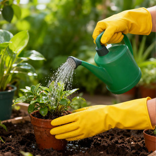 柔软橡胶胶皮乳胶防水防滑刷碗洗衣服家用夏天家务清洁洗碗手套女