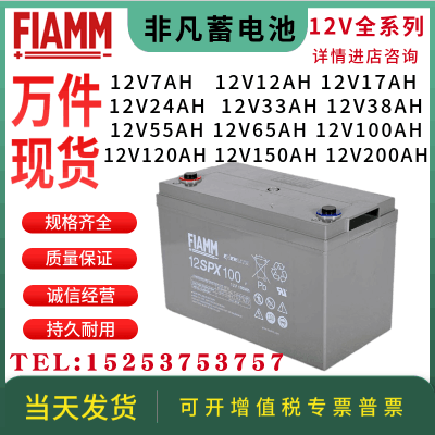 FLAMM非凡蓄电池12SP/12V7AH17AH24AH65AH100AH200AH/铅酸免维护