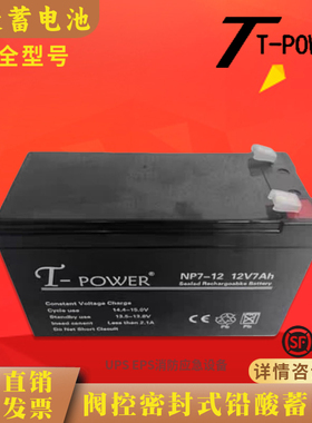 T-POWER耐康蓄电池NP12V100AH65AH40AH26AH7AH卷帘门电梯消防主机
