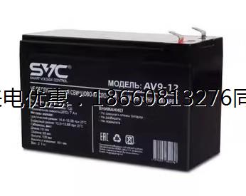 SVC蓄电池VP12V7A9A18A24A100A150A200AH直流屏UPS不间断电源电池