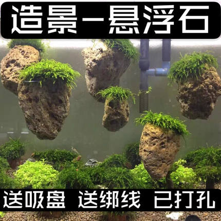 鱼缸摆件石阿凡达石天然轻石莫斯水草悬空石鱼缸装饰造景清仓特价