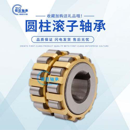 减速机专用偏心套偏心轴承 RN204 RN205 RN206 RN207 RN307 RN309