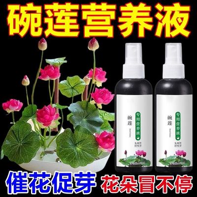 碗莲专用营养液水培植物盆栽花卉绿植通用型液体肥花肥料家用