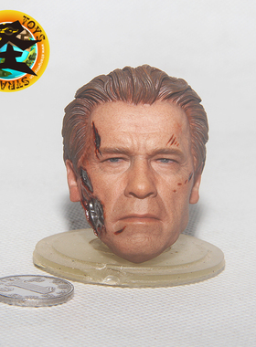 HT HOTTOYS 12寸1:6 MMS307 终结者创世纪T800 老年阿诺 战损头雕