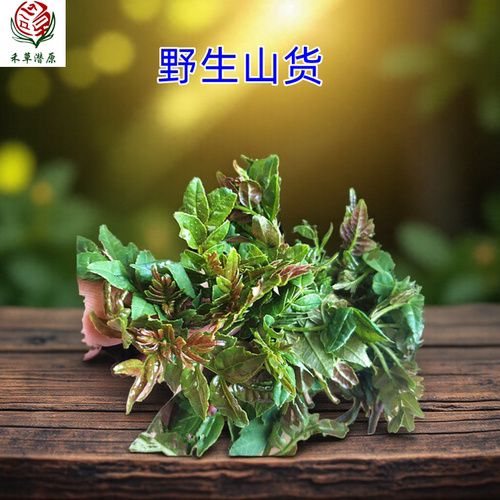 禾草源沂蒙山野生头茬花椒芽叶