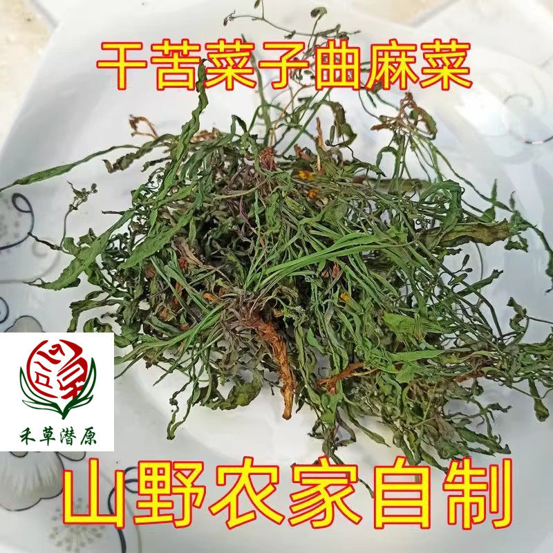 野菜苦菜新鲜包邮败酱草苦碟子苦麻子苦麦菜菊苣食用山东沂蒙山