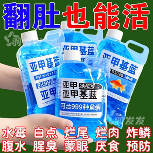 鱼缸消毒亚甲基蓝烂尾鱼病专用白点病水霉病锦鲤专治金鱼正品消炎