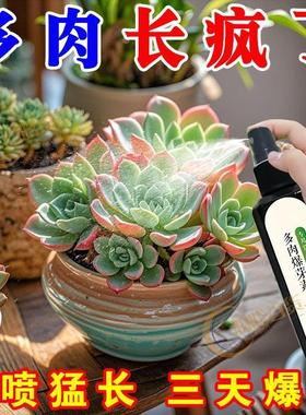 【快速爆盆】多肉营养液爆芽素生根发芽优芽素群生老桩催芽专用肥