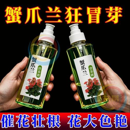 蟹爪兰专用肥料养花肥料蟹爪兰四季开花营养液免稀释养花通用肥料