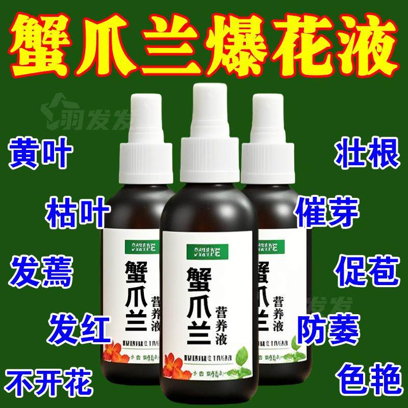 蟹爪兰专用肥料养花肥料蟹爪兰四季开花营养液免稀释养花通用肥料