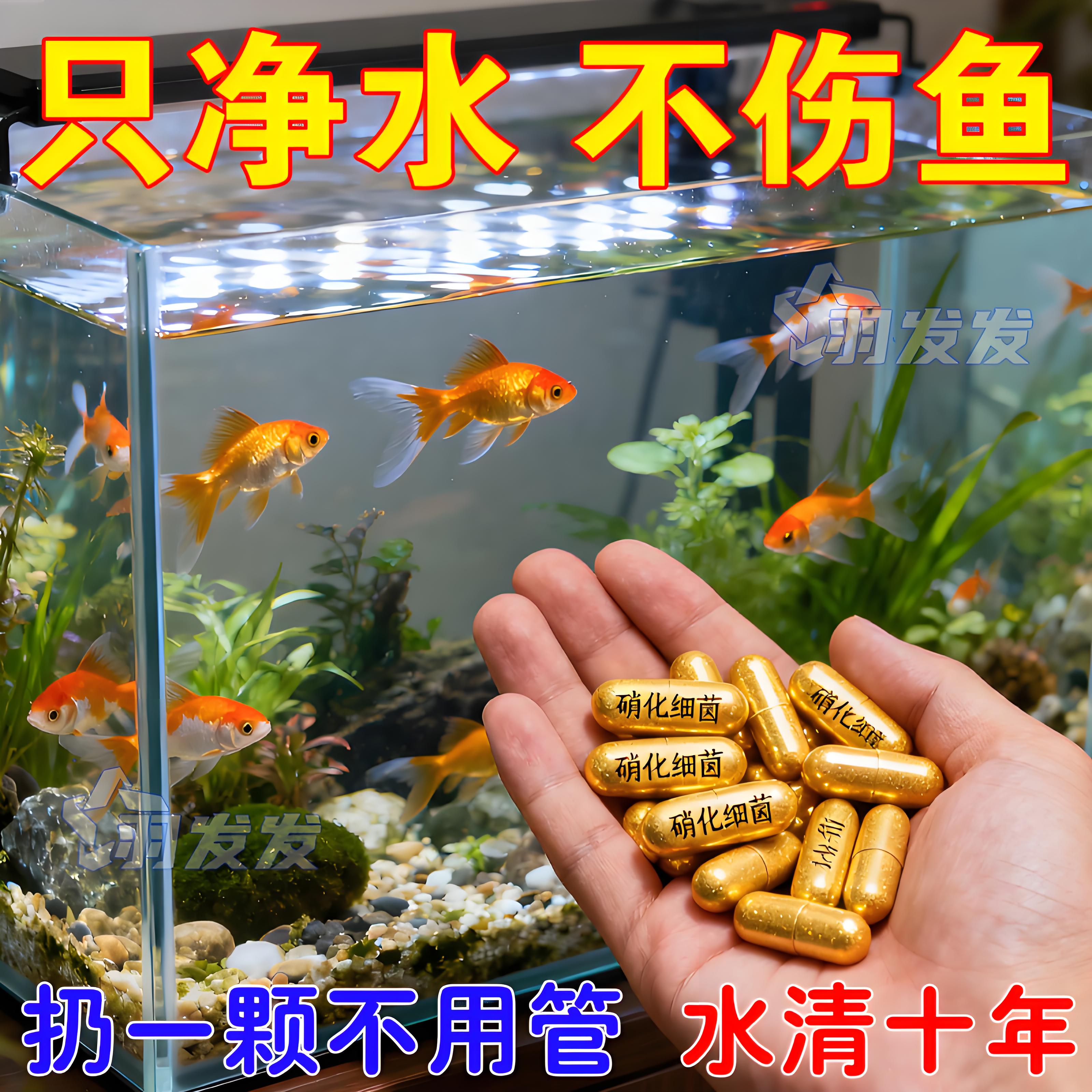 鱼缸一粒清净水剂净化水质去浑