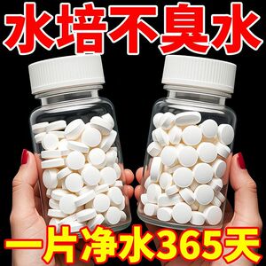 鲜花保鲜消毒片水培植物专用净水片富贵竹碗莲净水保鲜花卉保鲜剂