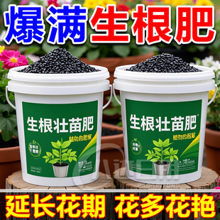 强力快速生根粉正品发根多菌肥花卉扦插移栽壮根壮苗植物发根批发