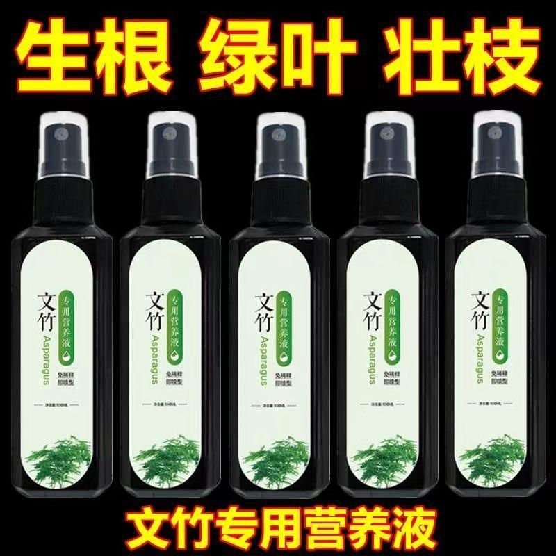 生根生长变绿文竹专用营养液