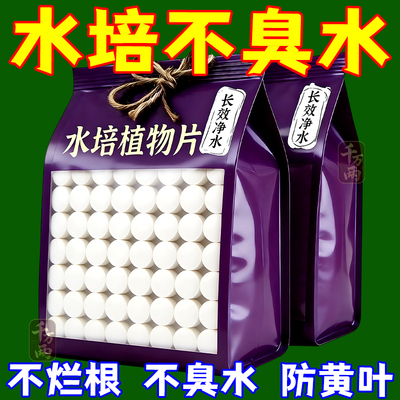 水培净水片除臭消毒保鲜