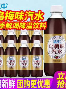上海延中乌梅汁380ml*12瓶整箱包邮乌梅味碳酸汽水饮料夏降温解暑