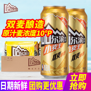 哈尔滨啤酒小麦王500ml*18听整箱包邮24听易拉罐啤酒原汁麦10°P