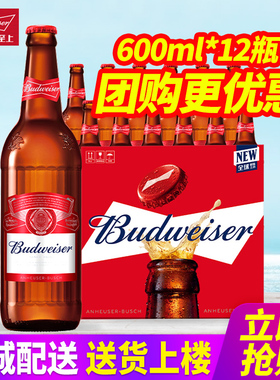 Budweiser/百威啤酒 600ml*12瓶整箱包邮580ml玻璃瓶原汁麦9.7°P