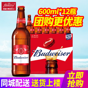 包邮 Budweiser 12瓶整箱 600ml 580ml玻璃瓶原汁麦9.7°P 百威啤酒
