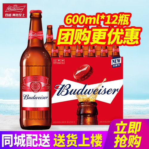 Budweiser/百威啤酒 600ml*12瓶整箱包邮580ml玻璃瓶原汁麦9.7°P