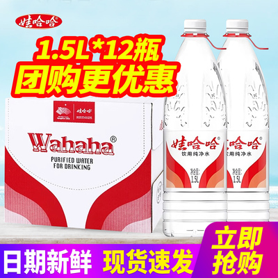 娃哈哈饮用纯净水1.5L*12瓶整箱包邮大瓶桶装水泡茶水非矿泉水