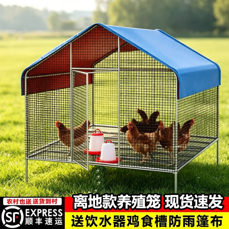 离地款鸡笼子鸡舍户外加高落地