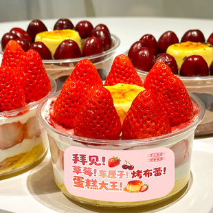 瑞文烘焙拜见草莓车厘子烤布蕾蛋糕打包碗网红盒子蛋糕透明甜品碗