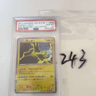 适用宝可梦 PTCG 闪电鸟 PSA10分   025/052议价
