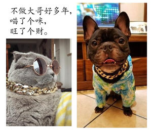 宠物金链子中小型猫犬日常配饰挂件出街高格嘻哈拍照酷炫时尚潮搭