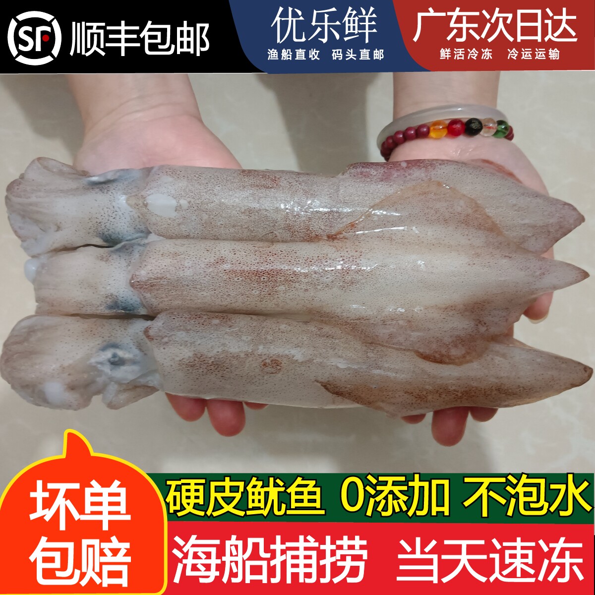 汕尾海捕鲜活大鱿鱼鱿鱼管冷冻海鲜水产鲜潮汕笔管鱼海兔3斤包邮