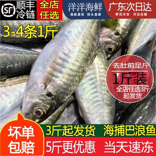 1斤装本港巴浪鱼海捕新鲜蓝圆鲹潮汕池鱼海水产冰鲜速冻刺巴鱼