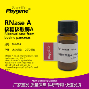 RNase A 核糖核酸酶A RNA酶 实验试剂 [PH0624 PHYGENE]
