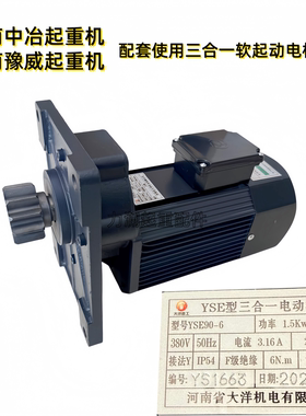 河南大洋电机三合一软起动电机