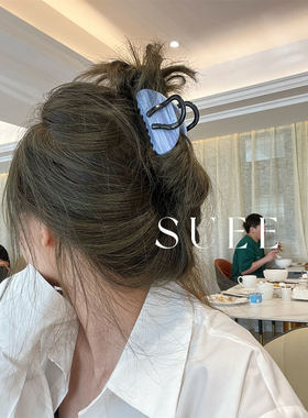 韩国醋酸玳瑁色法式手提包包小众设计高级感后脑勺鲨鱼夹抓夹发饰