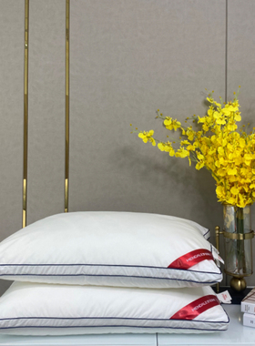 梦洁家纺 梦洁正品德国进口羽丝绒枕芯52700荞麦枕52749