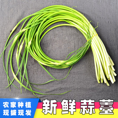 密云农家青蒜香辣1斤新鲜蔬菜