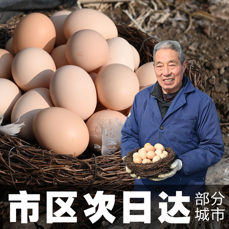 农村散养土鸡蛋食用农产品