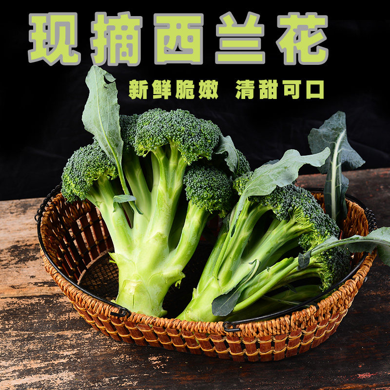 北京密云本地农家种植蔬菜新鲜西兰花好食材物理防虫营养健康400g