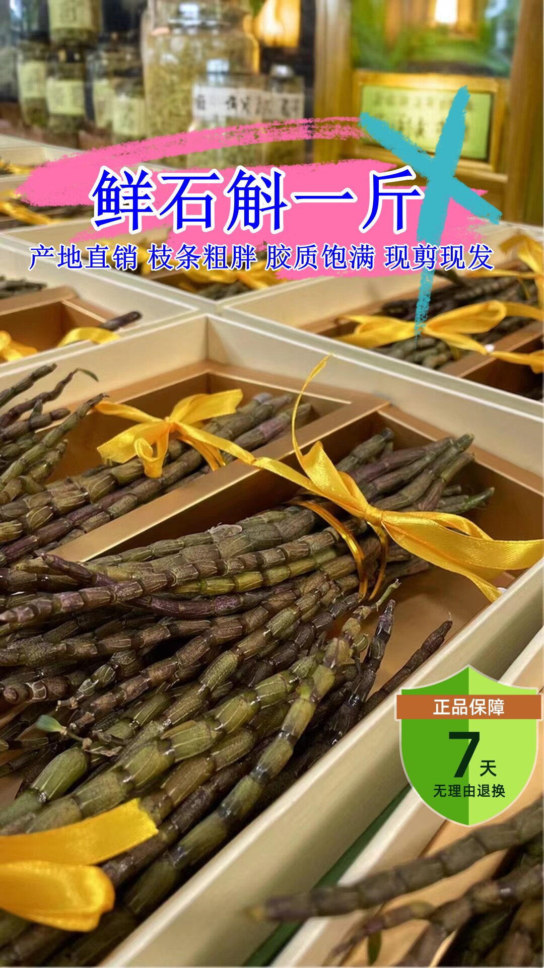 基地直销足年份新鲜铁皮石斛优选鲜条一斤榨汁煲汤滋补供酒店菜场